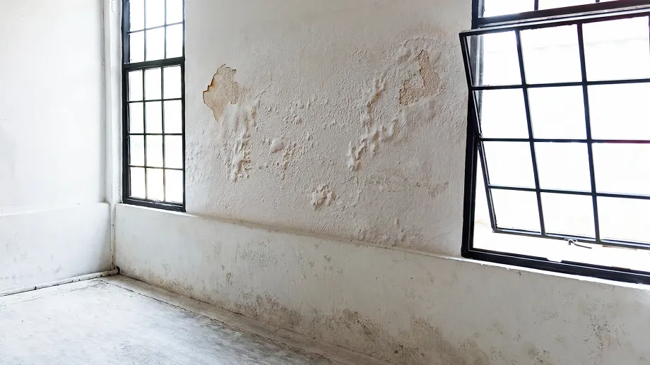 Why Dampness Appears in Walls and How to Stop It
